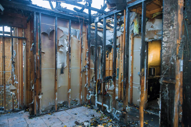 Professional Fire Damage Removal technician working in Buckingham, FL