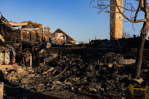 Reliable Fire Damage Removal contractor in Buckingham, FL by Fire Damage Doption
